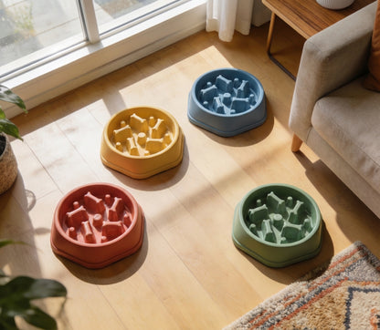 Slow Feeder Bowl