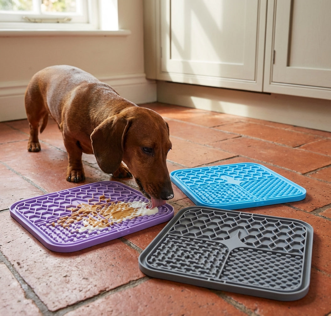 Silicone Licking Mat