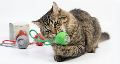 Interactive Smart Cat Toy Ball